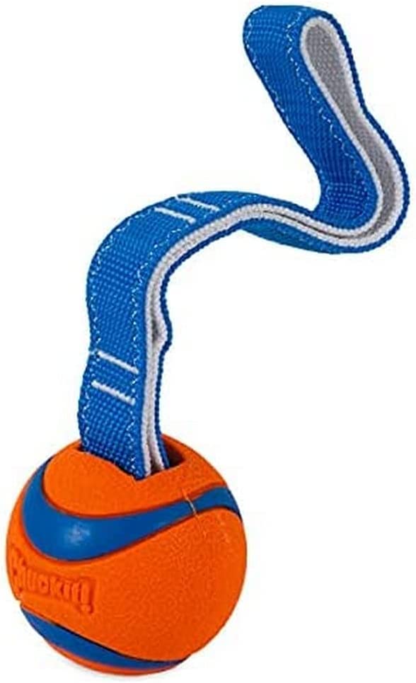 Chuckit Ultra Tug Dog Toy, Medium, 6 cm